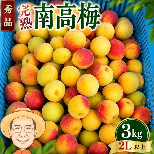 南高梅 約3kg (＋補償100g) 【秀品】完熟 2L以上 カキエモン農園【BX-kkem015A】