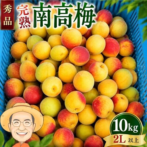 南高梅 約10kg (＋補償100g)【秀品】完熟  2L以上 カキエモン農園【BX-kkem017A】