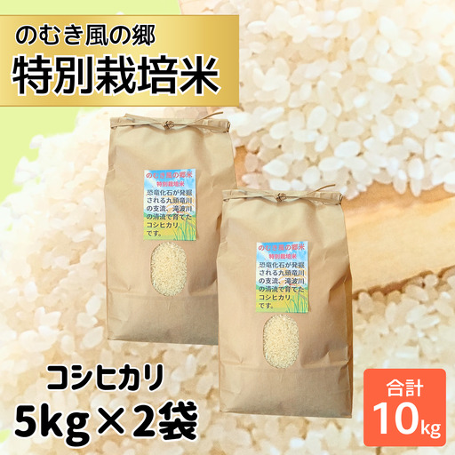 米 令和7年産 コシヒカリ 精米 のむき風の郷 無洗米 5kg×2袋 [B-024005]