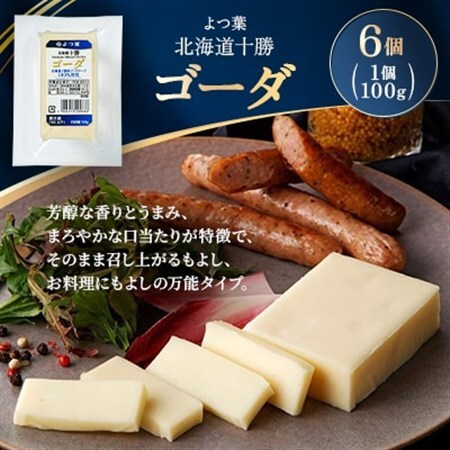 よつ葉 北海道十勝 ゴーダ 100g×6個【配送不可地域：離島】【1690060】