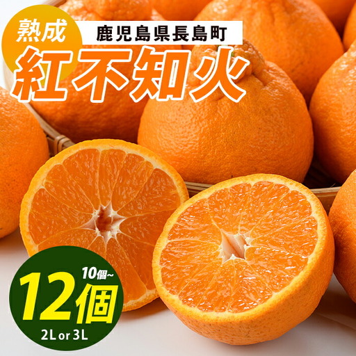 長島町産 紅不知火 2〜3L[株式会社羽根]hane-1560R8