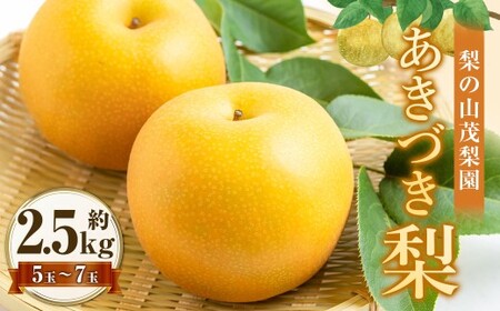 [先行予約] 梨の山茂梨園 あきづき梨 5玉から7玉(約2.5kg)[2026年9月上旬〜下旬発送予定] 梨 なし ナシ 果物 くだもの フルーツ 果実 果汁 5玉 7玉 あきづき