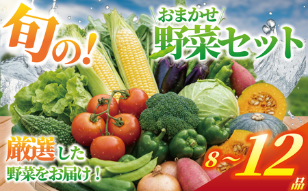 野菜 セット 8 〜 12品 旬 の 野菜 やさい ヤサイ