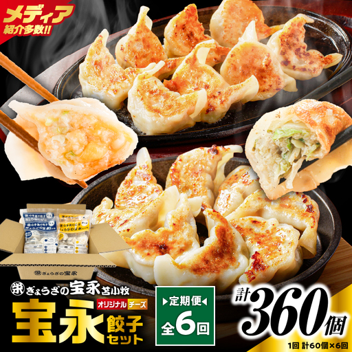 【定期便・全6回 毎月】手包み餃子 ぎょうざの宝永 チーズ餃子60個セット（宝永餃子15個入×2袋・チーズ餃子15個入×2袋） T004-T02-04 定期便 定期 惣菜 総菜 餃子