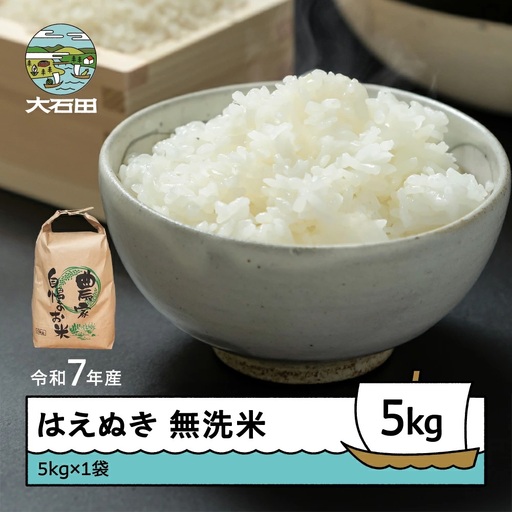 令和7年産 はえぬき  無洗米 順次発送 5kg 5kg×1袋 山形県産 ap-hamxa5-0