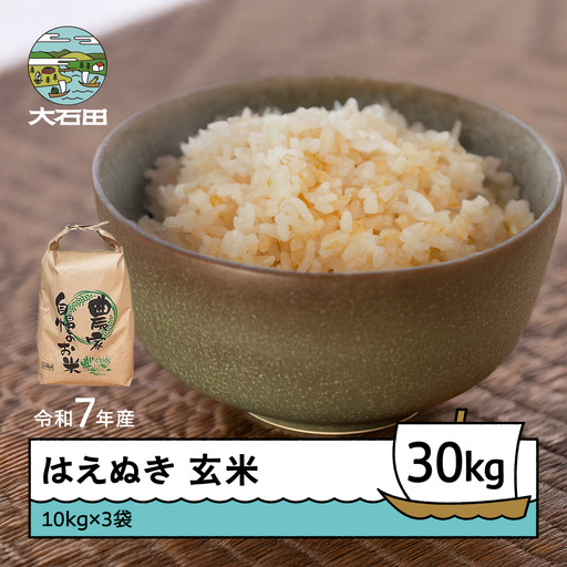 令和7年産 はえぬき  玄米 順次発送 30kg 10kg×3袋 山形県産 ap-hagxa10x3-0