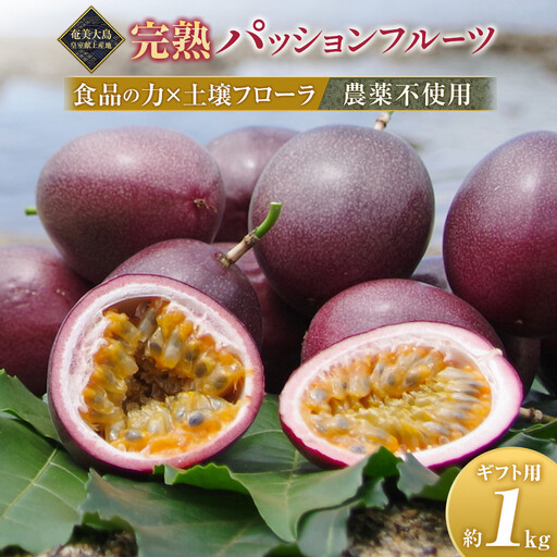 期間限定【農薬不使用】奄美完熟パッションフルーツ 贈答用化粧箱入り（農家直送）｜食品微生物　バイオスティミュラント　土壌フローラの改善　点滴潅水　皇室献上　送料無料　国産　無農薬
