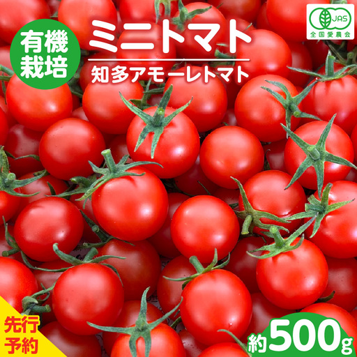 【先行予約】《11月中旬以降発送開始》有機栽培ミニトマト　知多アモーレトマト　約500g｜トマト 野菜 知多市