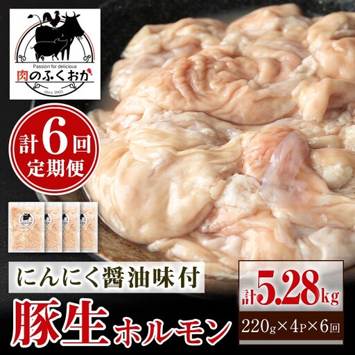 【C79011】＜定期便・全6回＞豚生ホルモンにんにく醤油味付(計5.28kg・220g×4P×6回) 鹿児島 豚肉 ホルモン 生ホルモン にんにく 醤油 おかず 加工品 味付け おつまみ 小分け パック 冷凍 冷凍食品 お弁当【肉のふくおか】