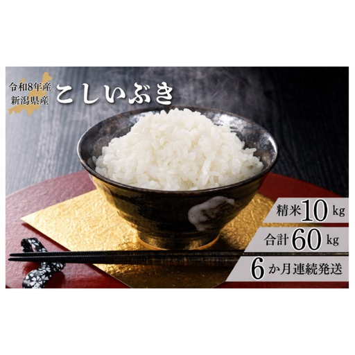 米 【6か月定期便】R7年産 新潟県産 こしいぶき 10kg （精米）
