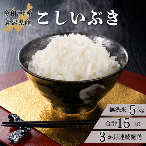 米 [3か月定期便]R7年産 新潟県産 こしいぶき 5kg (無洗米)