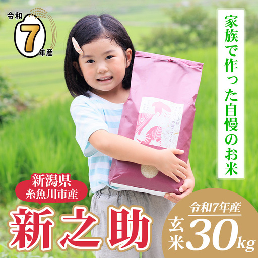令和7年産 新之助 玄米 30kg （精米サービス可能／小分け不可）【新潟県産 農家直送 新之助 2025年産 プロが認めた美味しいお米 百姓や伝六 美味しい 農家自慢 お米 白米 おにぎり お弁当 新潟米】