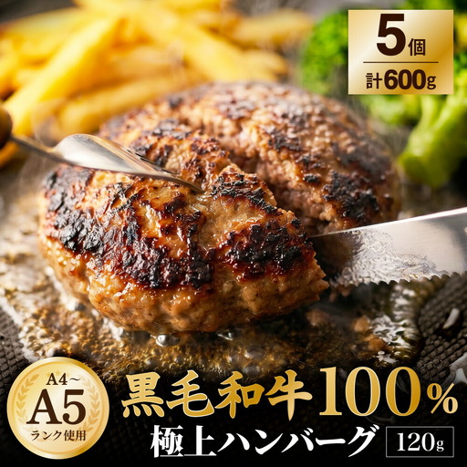 [A4〜A5ランクの黒毛和牛100%] ハンバーグ 120g×5個 (計600g)