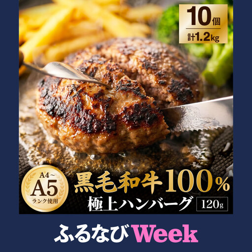 【ふるなびWEEK対象】【A4～A5ランクの黒毛和牛100%】 ハンバーグ 120g×10個 （計1.2kg） ／ 黒毛和牛 黒毛和種 和牛 国産牛 牛肉 お肉 肉 大阪府 阪南市 冷凍