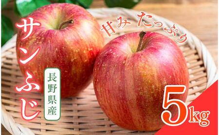 [寄附額改定][2026年産・先行予約]サンふじ 5kg りんご リンゴ 林檎 果物 フルーツ 長野