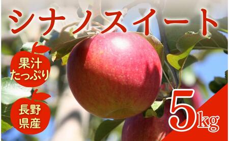 シナノスイート 5kg りんご リンゴ 林檎 果物 フルーツ 長野