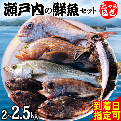 瀬戸内海産 鮮魚 セット [ 配達地域限定 ] 神経締め 血抜き済 2〜2.5kg 冷蔵 産地直送