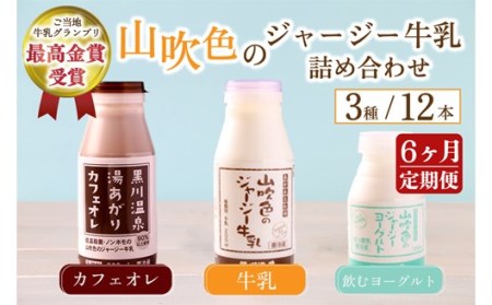 [6ヶ月定期便] 山吹色のジャージー牛乳 人気3種セット 定期便 3種 12本 ジャージー牛乳 飲むヨーグルト カフェオレ コーヒー牛乳 6回 黒川温泉 詰め合わせ アソート セット 乳製品 飲料 健康 腸活 免疫力アップ 乳酸菌 ご当地グランプリ 最高金賞 ご当地 ギフト 贈答用 山のいぶき 熊本 阿蘇 南小国町 送料無料