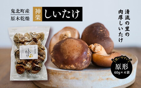 [神楽しいたけ]原木乾燥しいたけ(原形 60gx4) | きのこ しいたけ 原木 乾燥しいたけ 肉厚 特産品 愛媛県 鬼北町