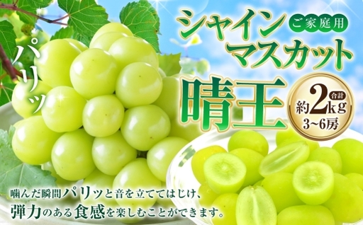 ご家庭用 シャインマスカット 晴王 3～6房 計約2kg 【2026年8月下旬～11月下旬迄発送】 岡山 種無し 種なし マスカット 果物 くだもの フルーツ ぶどう ブドウ 葡萄 冷蔵