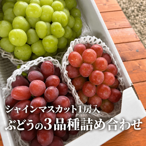 【2026年先行予約】旬のぶどう３品種詰め合わせ(シャインマスカット入り) 3~5房/計2.0kg~ (岡山県産) 【KF-B067-02】
