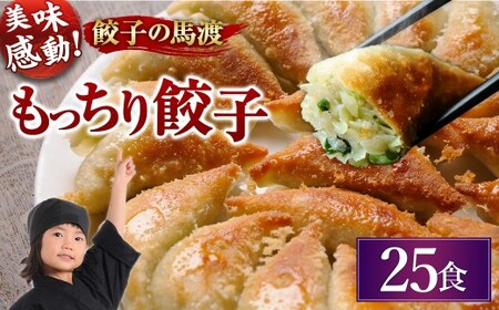 馬渡のもっちり 餃子 国産 肉 小分け 惣菜 人気 25個