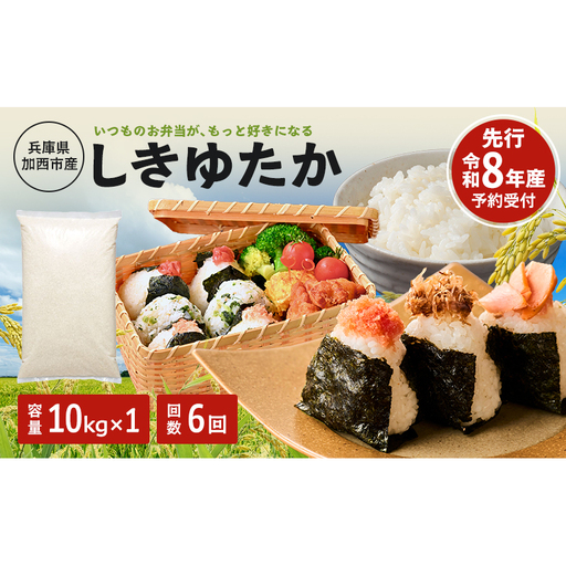 【令和8年産 先行受付】しきゆたか 白米 10kg