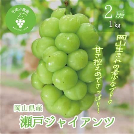 岡山　花笑み農園の『瀬戸ジャイアンツ』1kg(2房)　G-1【配送不可地域：離島】【1693701】