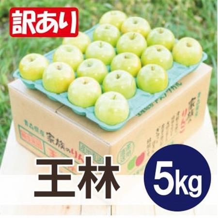 青森 りんご【2027年4月～5月発送予定】平均糖度13度以上! 王林 約5kg 訳あり クール便【配送不可地域：離島・沖縄県】【1694684】