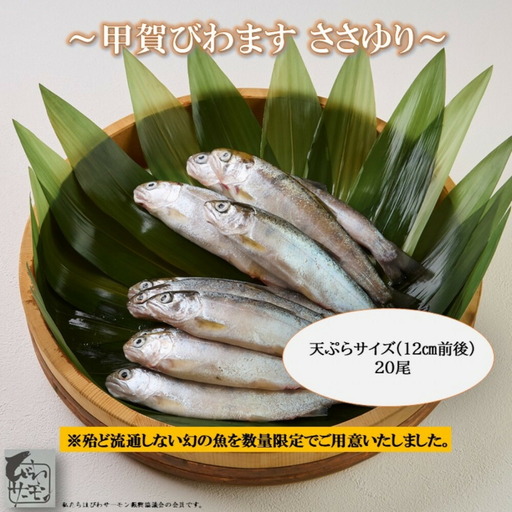 甲賀びわます “ささゆり" 天ぷらサイズ 5尾入り×4パック (178824-40037675)
