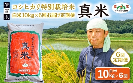 コシヒカリ 伊賀米コシヒカリ特別栽培米「真米」白米10kg×6回お届け定期便【ymnk-tkb0004】