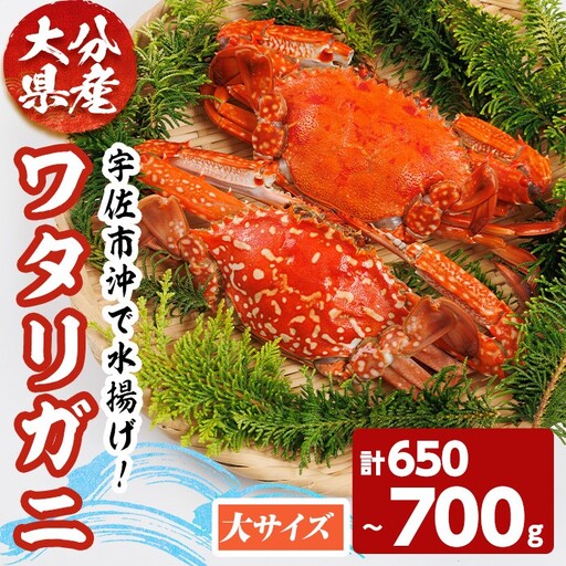 あおがざみ(計650g~700g・大サイズ) ワタリガニ　蟹 ボイル 海鮮 かに 冷凍 【101902000】【上野水産】