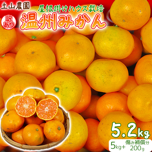 温州みかん (訳あり 家庭用) 屋根掛けハウス栽培 5kg＋傷み補償分200g (宮川早生と興津早生の混合)【土山農園】 先行予約 柑橘類 フルーツ 12月 1月 期間限定 果物 九州 ＜050-001＞