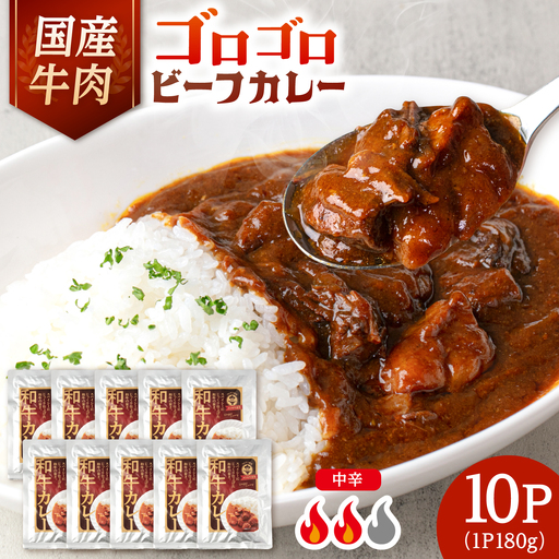 カレー 180g×10 [ADAQ144] 国産 牛 ビーフカレー レトルト