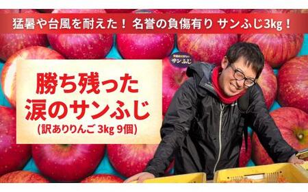 [訳あり品] 勝ち残った涙のサンふじ 3kg りんご サンふじ