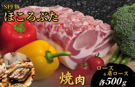 千葉県産 下山農場 SPF豚 「 ほころぶた 」( 焼き肉用 ) / SPF豚 豚肉 ほころぶた 焼き肉 焼肉 ロース 肩ロース