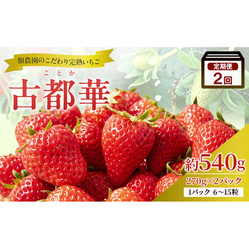 先行予約 【2回定期便】いちご 完熟 古都華 約540g(270g×2パック ) 奈良 ブランド イチゴ フルーツ ことか BN001