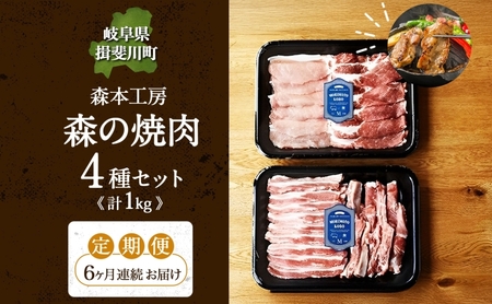 焼肉セット 飛騨・美濃けんとん 豚肉 4種 森本工房 焼肉セット【計1kg(各250g)】【冷蔵 定期便6ヶ月】