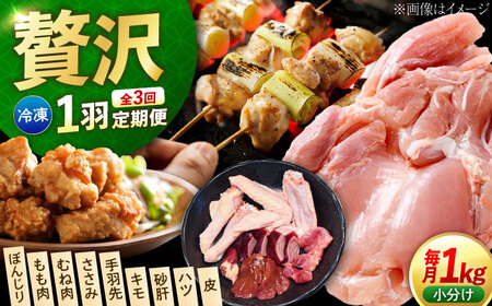 [全3回]鶏肉 一黒シャモ 1kg 冷凍 [XAH008] 鶏肉