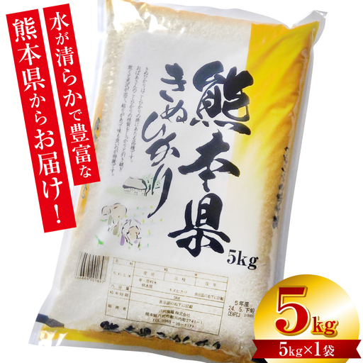 精米 《令和8年産》 熊本県産 きぬひかり 5kg (5kg×1袋) お米 白米 ごはん 精米