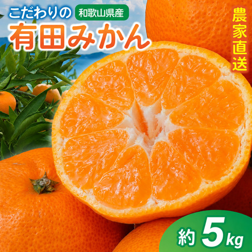 【訳あり・ご家庭用】こだわりの有田みかん 約5kg＋150g(傷み補償分) 【2027年1月中に順次発送予定】【CE-nuk160D-01】