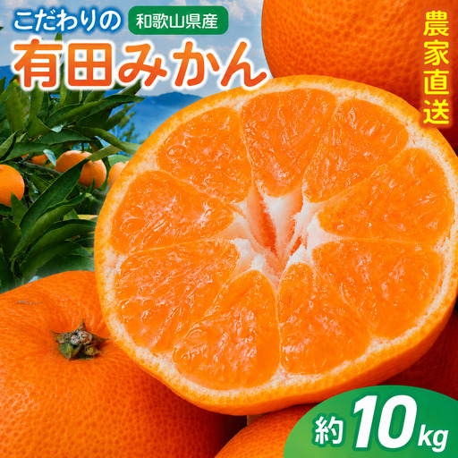【訳あり・ご家庭用】有田みかん 約10kg＋150g(傷み補償分) 【2027年1月中に順次発送予定】農家直送 こだわりの 完熟【CE-nuk101D-01】