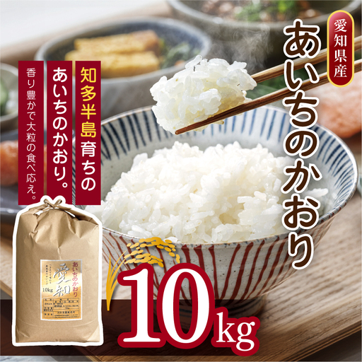 愛知県産 あいちのかおり 10kg｜米 