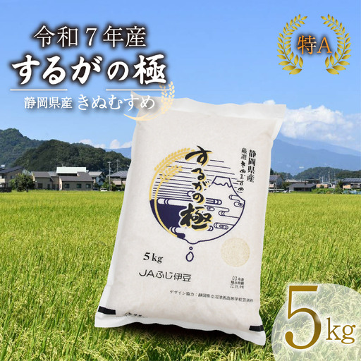 きぬむすめ 5kg 令和7年 するがの極 米 コメ こめ 長泉