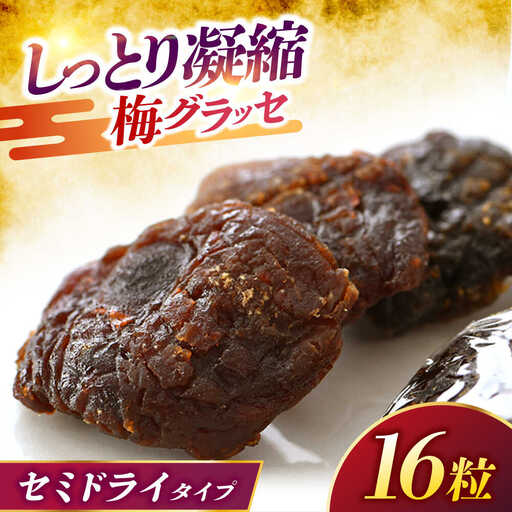 うめグラッセ セミドライ 16粒入 紅映梅使用 / 梅 ウメ 甘酸っぱい 梅スイーツ 小浜市 / アップ・トゥ・ユウ[BFAU006]