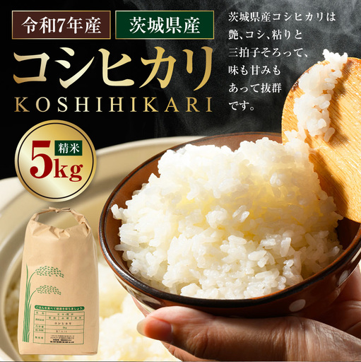 【令和7年産】茨城県産コシヒカリ 5kg	米 お米 おこめ コメ 白米 精米 ご飯 ごはん コシヒカリ こしひかり 茨城県 守谷市