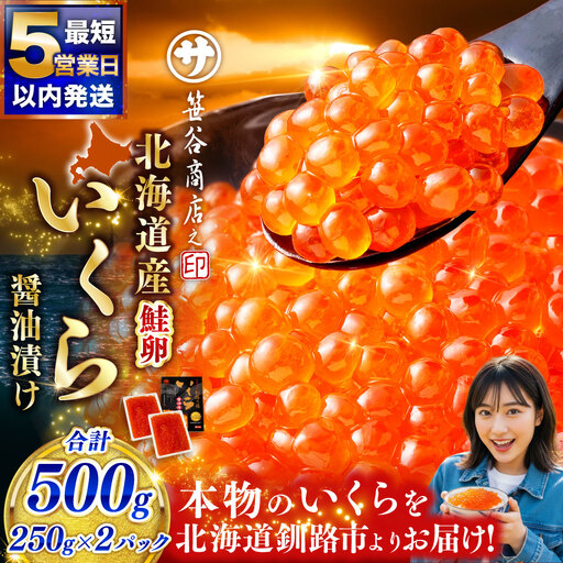 【5営業日以内発送】笹谷商店 北海道産いくらしょう油漬500g（250g×2パック入り） ふるさと納税 いくら