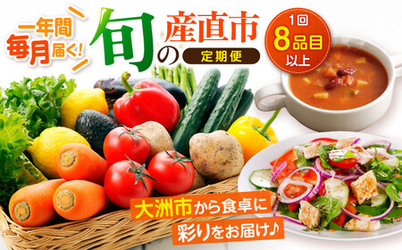 野菜 定期便[全12回](8種以上) 野菜 セット[AGAP011]