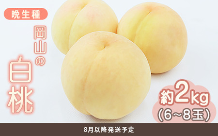 岡山の白桃 晩生種 約2kg(6〜8玉)