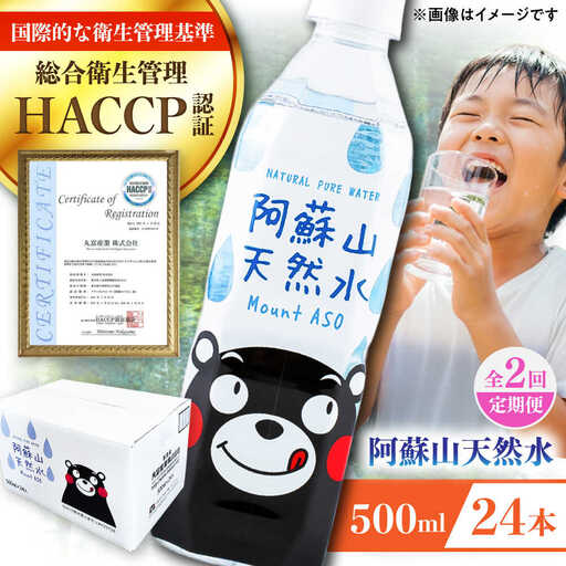 【全2回定期便】阿蘇山天然水 500ml 24本×1ケース 防災 BHDG007 防災